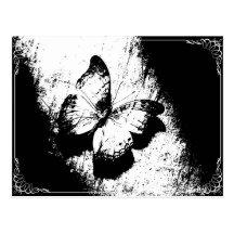 Butterfly Black and White Postcard