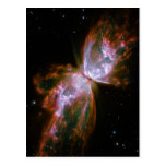 Butterfly / Bug Nebula (Hubble Telescope) Post Cards