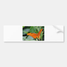 Butterfly Bumper Stickers