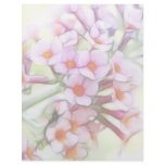 Butterfly Bush - Delicate and Dreamy