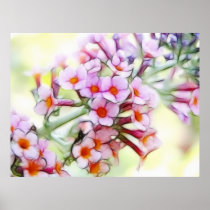 Butterfly Bush - Delicate and Dreamy