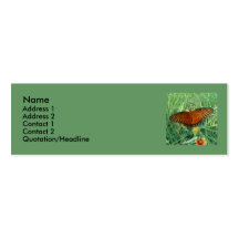 Butterfly Business Card