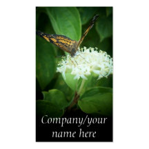 Butterfly Business Cards