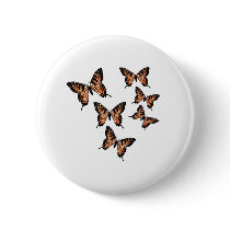 Butterfly Butterflies