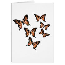 Butterfly Butterflies