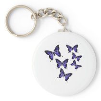 Butterfly Butterflies