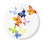 Butterfly Butterflies