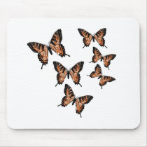 Butterfly Butterflies