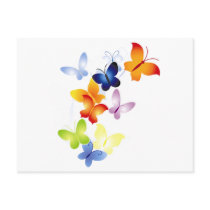 Butterfly Butterflies