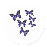 Butterfly Butterflies