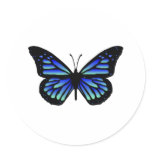 Butterfly Butterflies Sticker