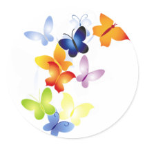 Butterfly Butterflies