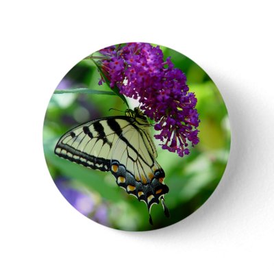 Butterfly Button by natures_edge