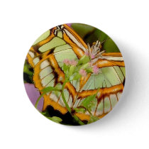 Butterfly Pinback Buttons
