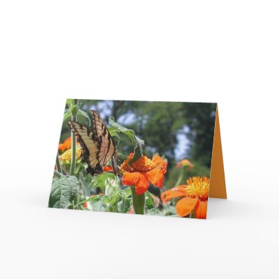 Butterfly Card by Just_For_Mom