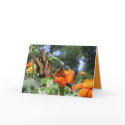 Butterfly Card