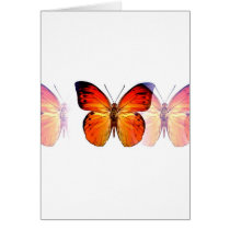 Butterfly Cards