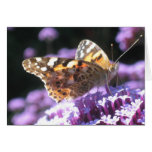 Butterfly Card