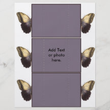 Butterfly Card Full Colour Flyer