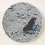 Butterfly Coaster