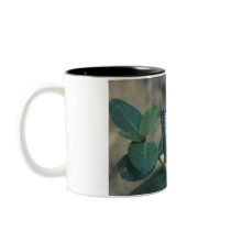 Butterfly Coffee Cup Mug