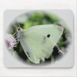 Butterfly Collection Mousepad