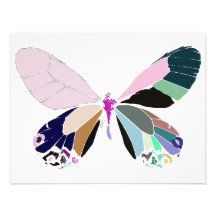 butterfly colours announcement