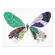 butterfly colours announcements