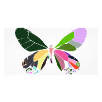 butterfly colours