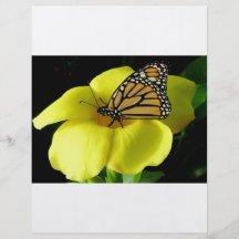 Butterfly Custom Flyer