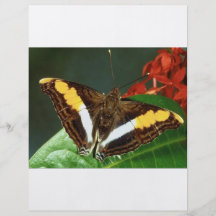 Butterfly Custom Flyer