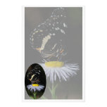 Butterfly Daisy Stationary Customized Stationery