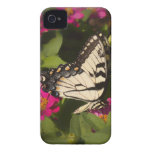 Butterfly Delight Case-Mate Case Case-Mate iPhone 4 Cases