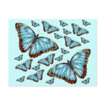 Butterfly Delight Postcards