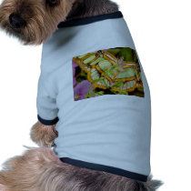 Butterfly Pet Shirt