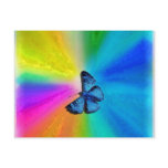 butterfly dreams postcard