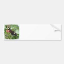 Butterfly Effect Bumper Sticker