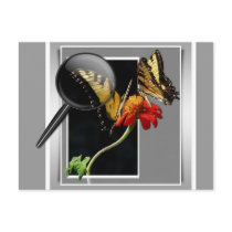 BUTTERFLY EXAMINATION - MAGNIFYING GLASS POST CARDS