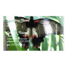 Butterfly Farm Business Cards
