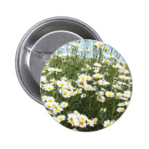 Butterfly Feast Pins