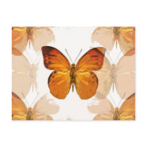Butterfly Flies Post Cards