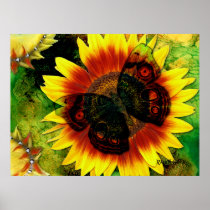 Butterfly Flower Posters