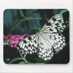 Butterfly Flowers Mouse Pads
