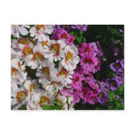 Butterfly Flowers Postcard