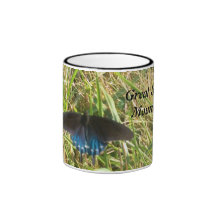 Butterfly & flowers smoky mountain national park coffee mugs