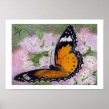 Butterfly Flutter aceo Poster Print