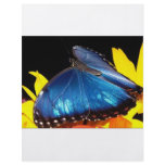 Butterfly Flyer Design