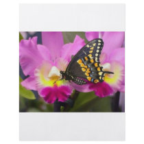 Butterfly Flyers