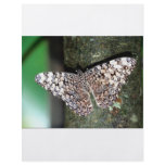 Butterfly Flyer Design
