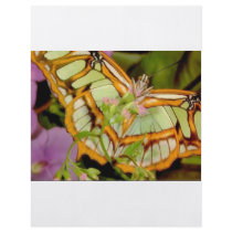 Butterfly Custom Flyer